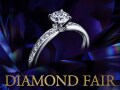 exelco DIAMOND FAIR 2023