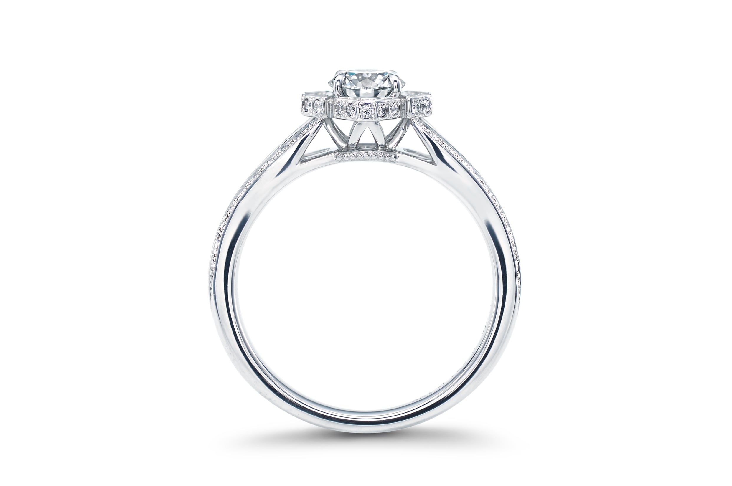 <span>【NEW】</span><br>Quatuor(クワテュオール)